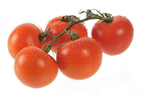 新鲜的五个红番茄滴