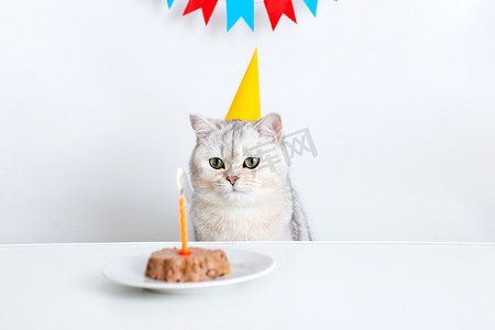 一只戴着黄色纸帽的白猫坐在白桌旁，看着猫罐头蛋糕里的蜡烛