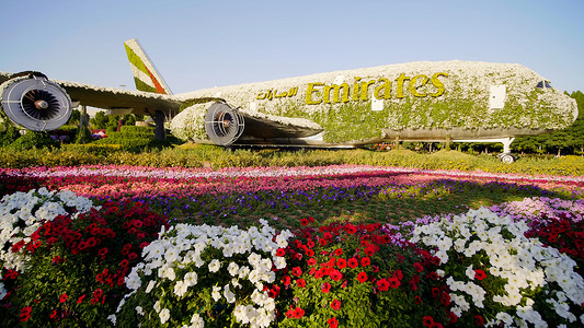 阿联酋迪拜 — 2019年12月14日：迪拜奇迹花园：世界上最大的天然花园。