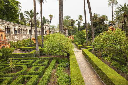 棕榈墙花园城堡皇宫塞维利亚西班牙