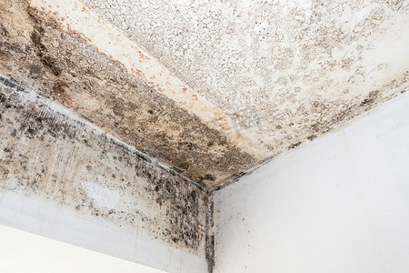 湿垃圾摄影照片_天花板和墙壁上的霉菌