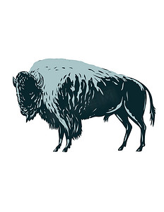 美洲野牛或美洲水牛侧视图 WPA 海报艺术