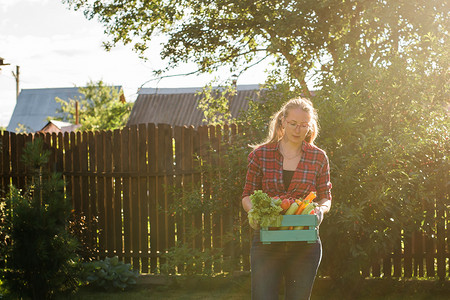 女农民携带一盒采摘的蔬菜复制空间 — 花园和收获农产品用于网上销售。