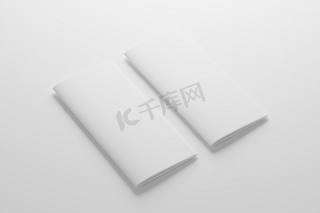 DL 骑马钉双折小册子白色空白 3D 渲染模型