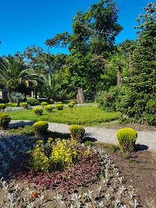 一个美丽的巨大花园公园，花园小径中间的圆形花坛上种着鲜花，背景是热带棕榈树，阳光明媚