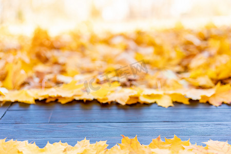秋黄摄影照片_空木桌自然波克背景与秋黄枫叶寄宿生 用于展示产品复制空间的模板模型