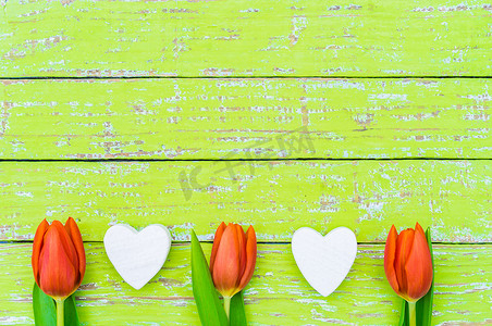 情人节背景，红色郁金香花和绿木上的心