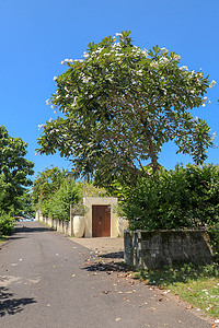 巴厘岛空荡荡的街道。