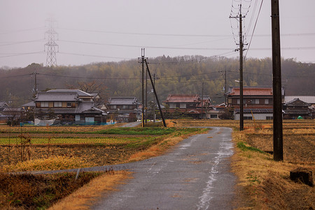 雨天穿过日本小村庄金色田野的窄路