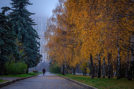 莫斯科下雨，俄罗斯秋天在城市街道上拿着一把雨伞行走的女人