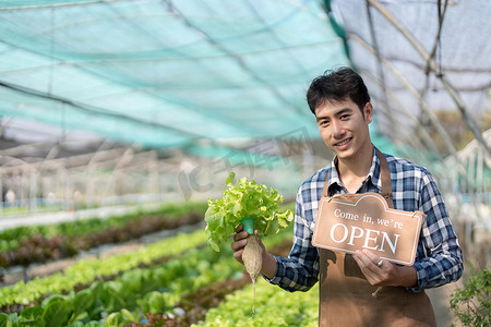 数量摄影照片_聪明的年轻亚洲农民记录有机水培菜园的质量和数量
