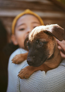 爱护狗摄影照片_狗、玩耍和孩子在收容所收养、爱护和照顾大自然中的宠物。