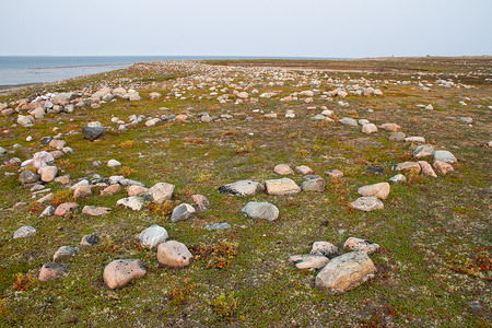 古代山水场景摄影照片_阿尔维亚特以北哈德逊湾沿岸的因纽特人帐篷环遗迹位于一个名为 Qikiqtarjuq 的地方