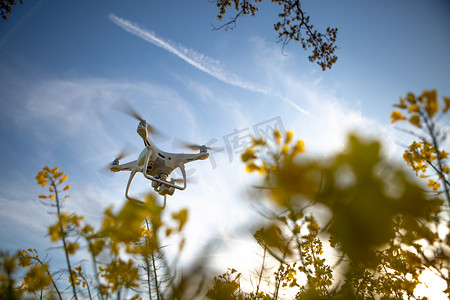 无人机在田野上空飞行以进行摄影和测量