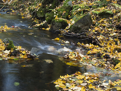 捷克共和国 luzicke hory lusitian 山秋季长时间曝光的魔法森林溪流与石头、苔藓、蕨类植物和五颜六色的落叶和树木