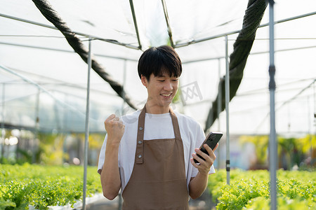 农户用手机查看客户订单，表现出收获水培蔬菜的喜悦。