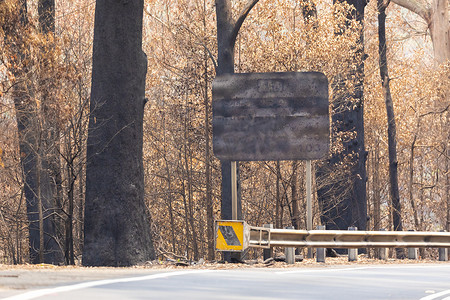 干烧摄影照片_由于澳大利亚地区蓝山的丛林大火，一条被烧焦的桉树包围的道路上的标志被烧毁