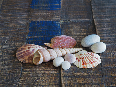 特写贝壳和鹅卵石静物在旧木板上