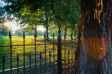 拉斐特公园长长的影子，镜头光晕照片效果在