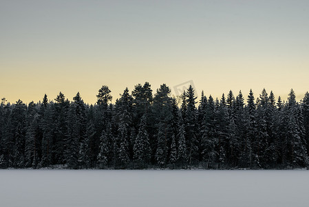 冰湖上的森林覆盖着大雪和天空我