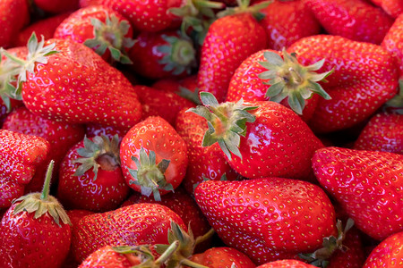新鲜采摘草莓的背景，正上方