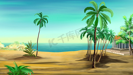 插画棕榈树摄影照片_海边的棕榈树插画