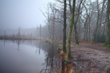 浓雾森林摄影照片_森林和浓雾中的湖泊