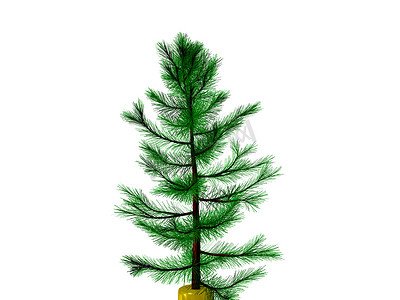 3D 圣诞树或松树 3D 准备装饰，隔离在透明背景上