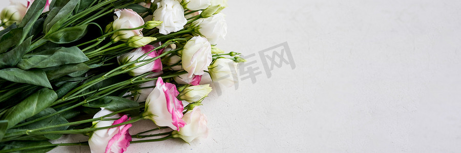 粉红色康乃馨和白色洋桔梗花组成粉红色柔和的背景，创意平躺，复制空间。