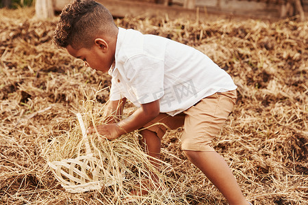 夏季衣服可爱摄影照片_夏季，可爱的非洲裔美国小男孩在农场