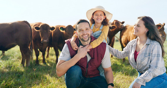 农业、牛和家庭热爱可持续发展、畜牧业和农业企业主生活方式与草地。
