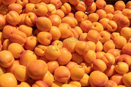 市场求职简历摄影照片_市场特写中盒子里成熟的新鲜杏子