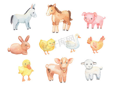 可爱猪摄影照片_可爱的小驴、羊和鸡被白色隔离。