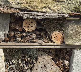 自制昆虫旅馆装饰虫屋的细节，由砂岩和木材、瓢虫和蜜蜂之家组成，用于蝴蝶冬眠和生态园艺。