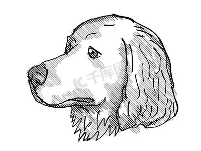 大比利牛斯犬品种卡通复古绘图