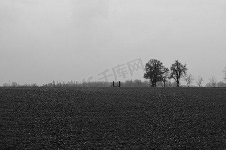 在大雾天，田野里两棵树的灰度照片。