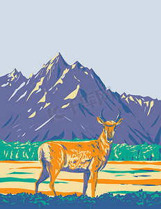 怀俄明州大提顿国家公园的叉角羚或美洲羚羊 WPA 海报艺术