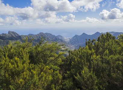 观点摄影照片_西班牙特内里费岛加那利岛阿纳加山尖峰的观点，有绿色的柏树丛和戏剧性的蓝天白云背景