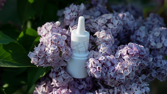 在盛开的丁香花上喷鼻剂。