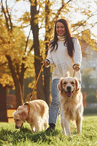 散步摄影照片_白天，布鲁内特带着两只金毛猎犬在公园里散步