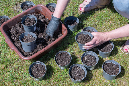 泥土盆栽摄影照片_戴着黑色手套的女性手在花园里用泥土填满花盆