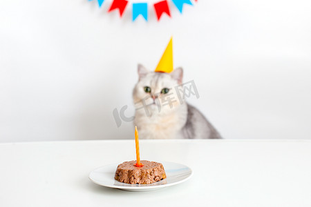 一只戴着黄色纸帽的可爱白猫坐在一张白桌旁，桌上放着一个带蜡烛的猫罐头蛋糕