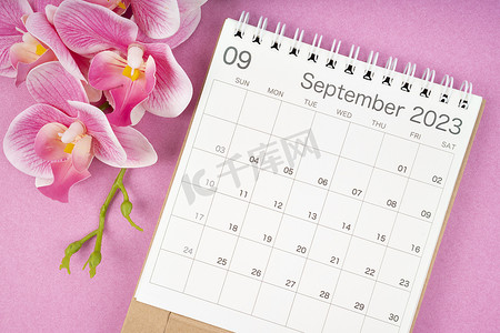 2023 年 9 月的日历桌和粉色背景的粉色兰花。