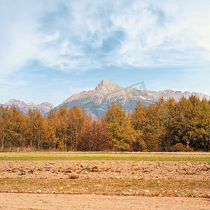 斯洛伐克利普托夫地区典型秋季风景的克里万山峰斯洛伐克标志，秋色树木模糊，前景干燥