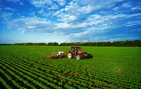 拖拉机用化学品喷洒田地以保护植物。