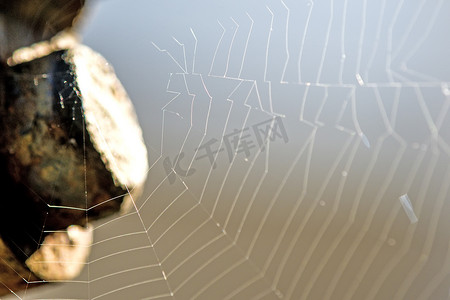白色发光的圆摄影照片_背光中的蜘蛛网