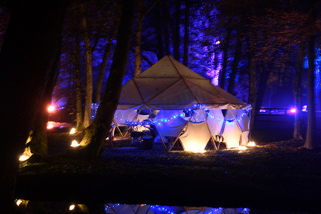 比利时城市湖泊公园的霓虹灯夜间表演，树木被照亮