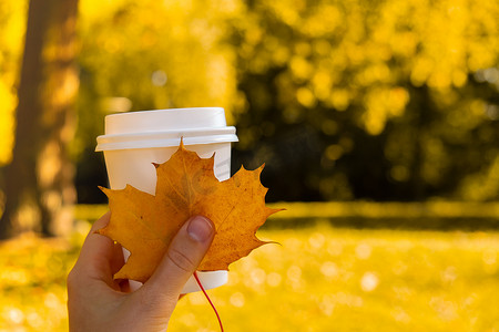 女人拿着生态零浪费白纸杯复制空间模型秋天秋天的枫叶黄叶。