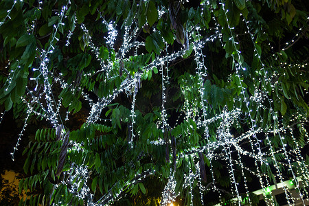 夜间花园树上的 LED 灯串电缆