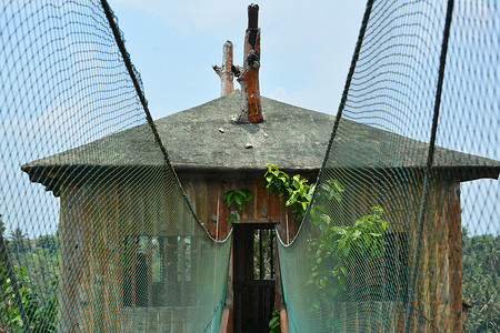 幻想世界主题公园树屋吊桥在八打雁，